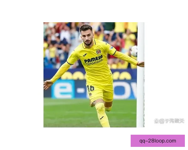 2025夏季转会市场：里尔引进意甲锋线新星强力补强